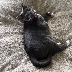 Meet your Posher, Haley